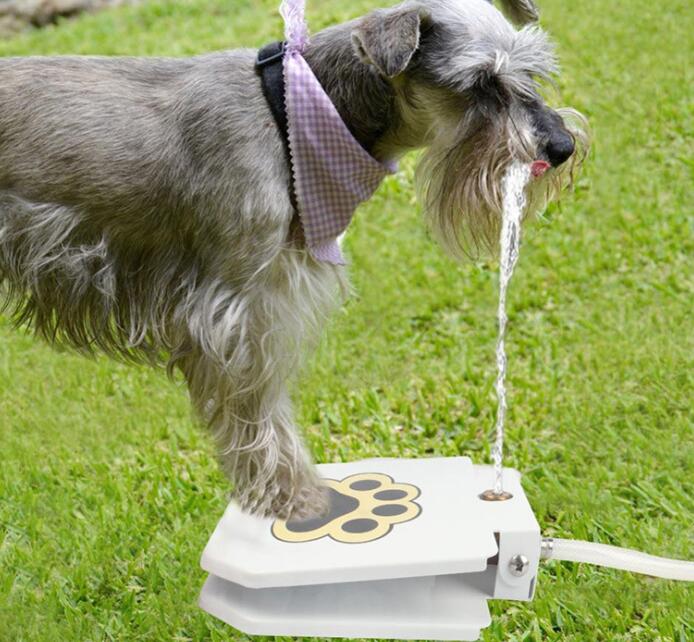 grey dog uses white colored dog water fountain with a black colored and yellow framed paw printed on it