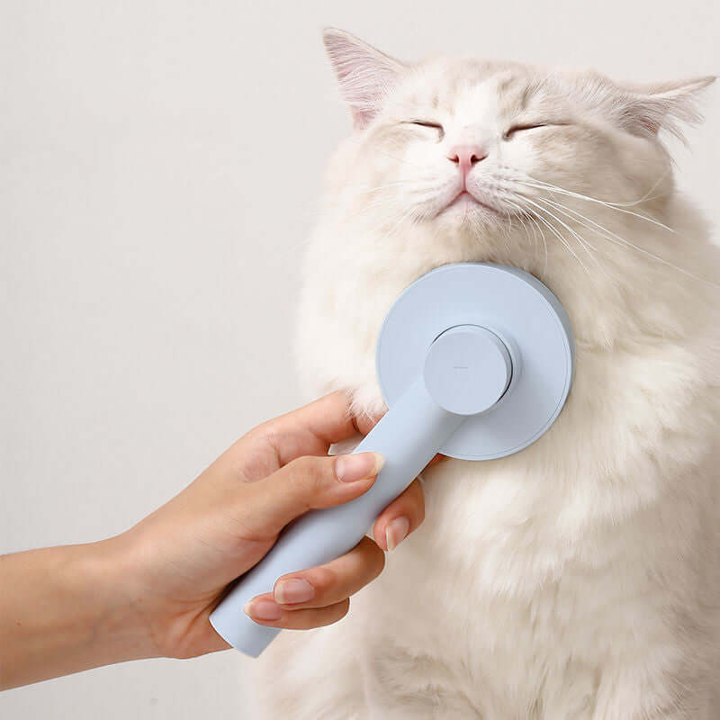 blue pet hair comb that combs a cat